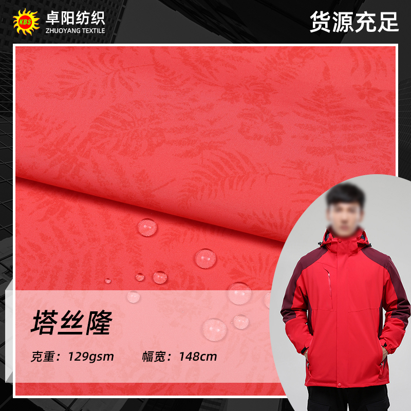 塔丝隆